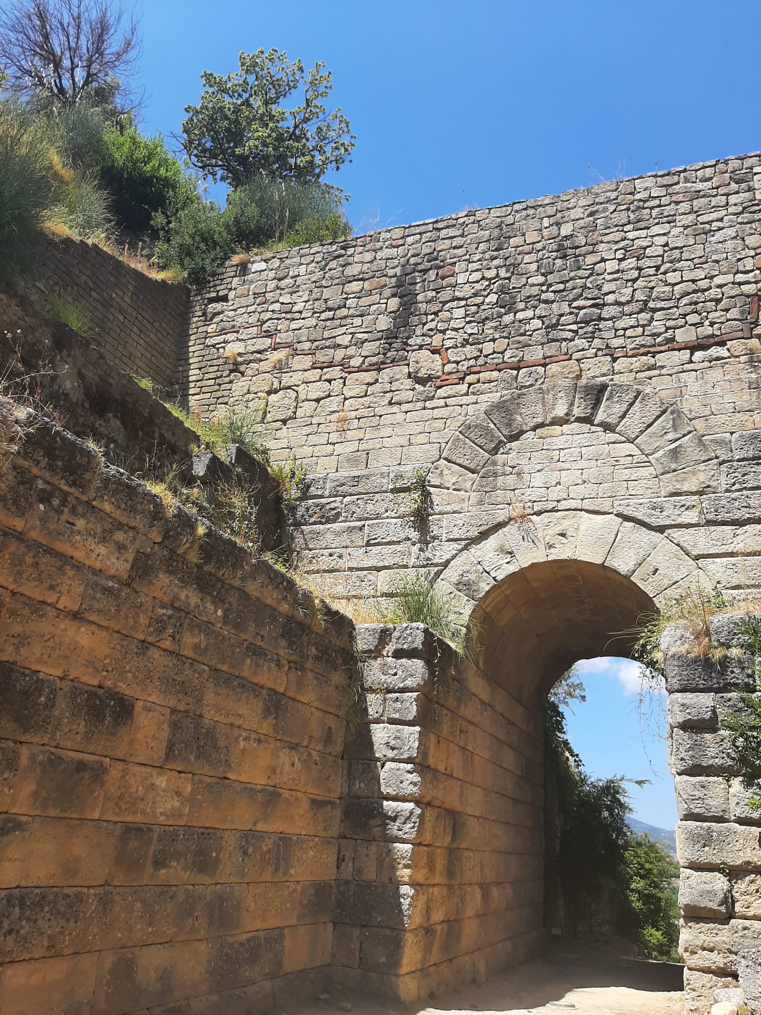 Parco Archeologico di Velia - Agosto 2022