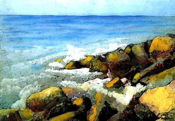 SCOGLIERA ASSORTA AI VENTI DI MARE