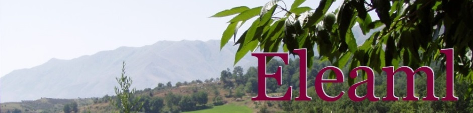 Nuovi Eleati - Eleaml